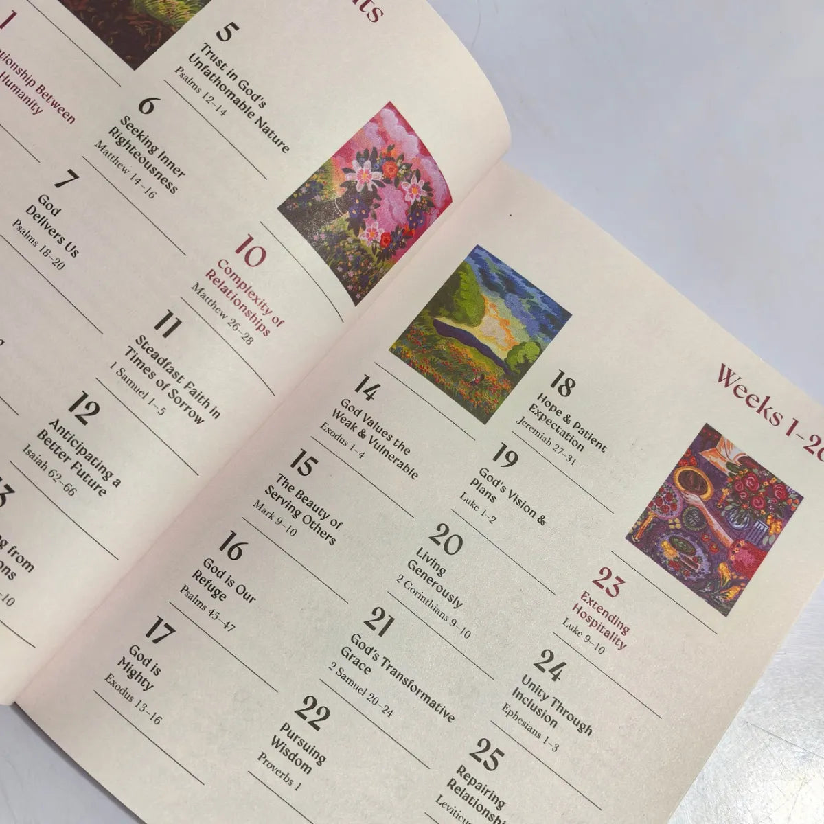 A Beautiful Year in the Bible: The 52-Week Bible Study for Women