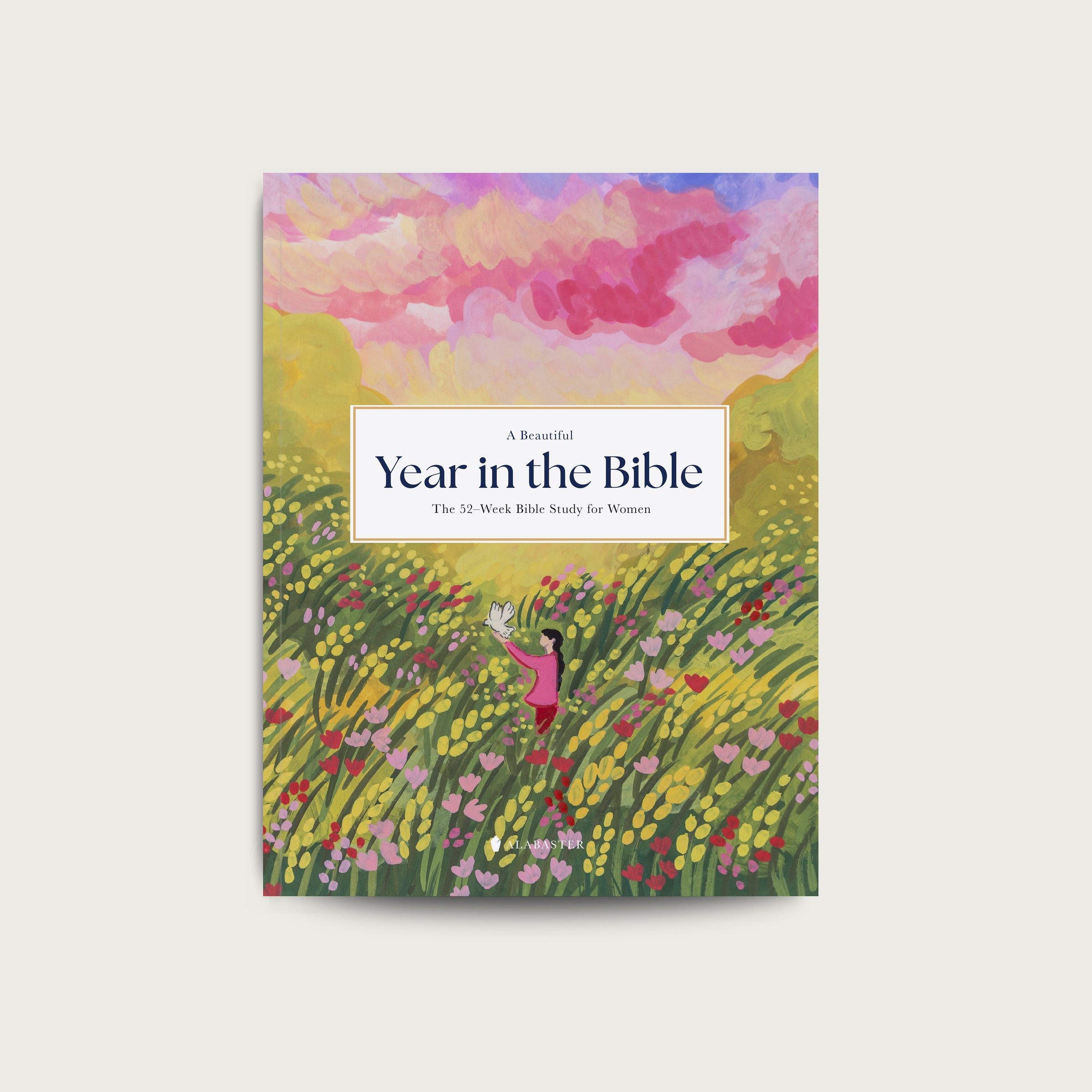 A Beautiful Year in the Bible: The 52-Week Bible Study for Women