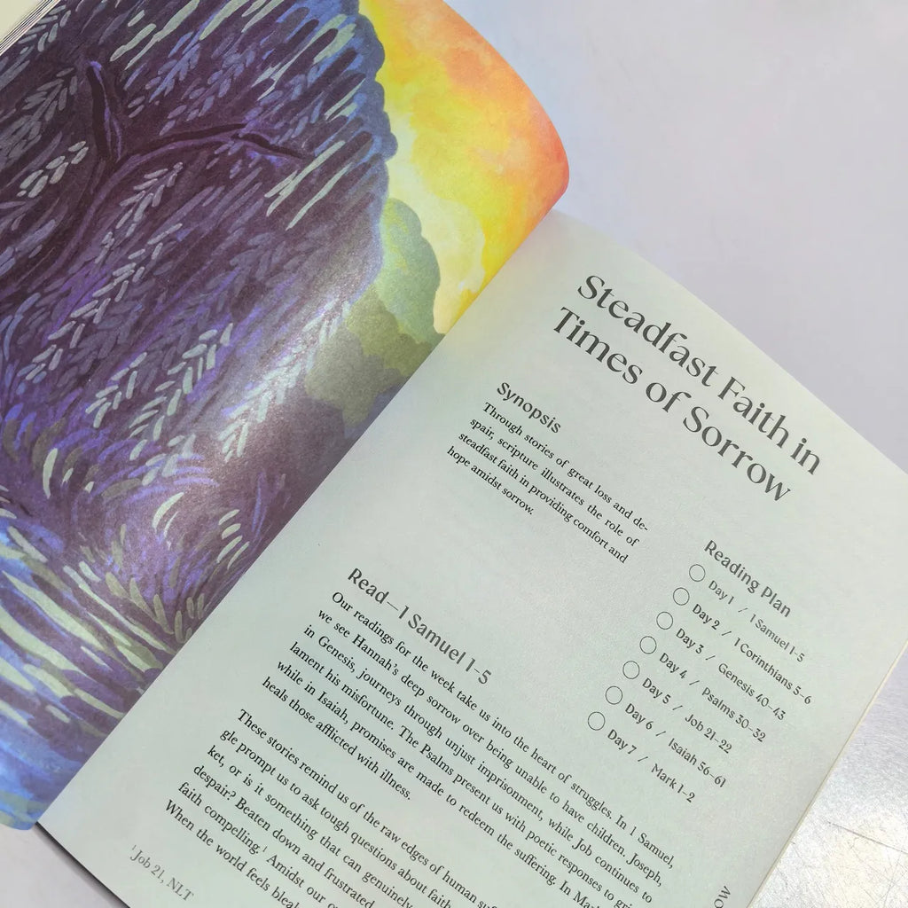 A Beautiful Year in the Bible: The 52-Week Bible Study for Women