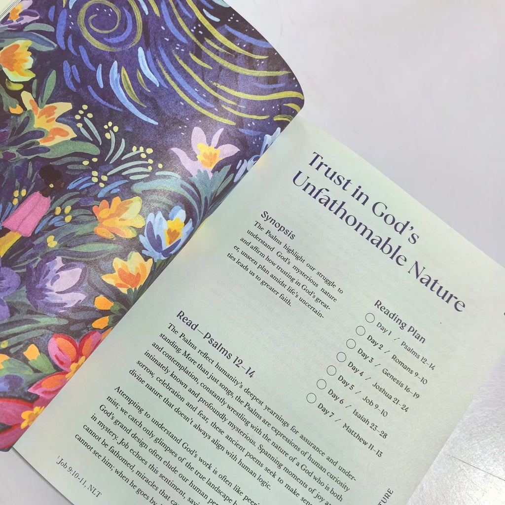 A Beautiful Year in the Bible: The 52-Week Bible Study for Women